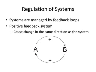 Positive Systems Systems On Earth | PPTX