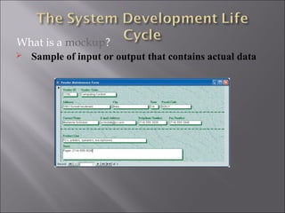 What is a mockup?
   Sample of input or output that contains actual data
 
