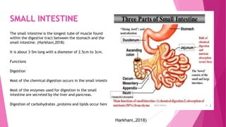SMALL INTESTINE
The small intestine is the longest tube of muscle found
within the digestive tract between the stomach and the
small intestine. (Harkhani,2018)
It is about 3-5m long with a diameter of 2.5cm to 3cm.
Functions
Digestion
Most of the chemical digestion occurs in the small intestine
Most of the enzymes used for digestion in the small
intestine are secreted by the liver and pancreas.
Digestion of carbohydrates ,proteins and lipids occur here.
Harkhani,,2018)
 
