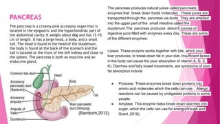 PANCREAS
The pancreas is a creamy pink accessory organ that is
located in the epigastric and the hypochondriac part of
the abdominal cavity. It weighs about 60g and has 12-15
cm of length. It has a large head, a body, and a small
tail. The head is found in the head of the duodenum,
the body is found at the back of the stomach and the
tail is located at the front of the left kidney and close to
the spleen, The pancreas is both an exocrine and an
endocrine gland.
The pancreas produces natural juices called pancreatic
enzymes that break down foods molecules . These juices are
transported through the pancreas via ducts. They are emptied
into the upper part of the small intestine called the
duodenum.The pancreas produces about 8 ounces of
digestive juice filled with enzymes every day. These are some
of the different enzymes:
Lipase. These enzyme works together with bile, which your
liver produces, to break down fat in your diet. Insufficient lipase
in the body can cause the poor absorption of vitamin A, D, E,
K). Diarrhea and fatty bowel movements. are symptoms of poor
fat absorption include
● Protease. These enzymes break down proteins into
amino acid molecules which the cells can use. Allergic
reactions can be caused by undigested proteins in some
people.
● Amylase. This enzyme helps break down starches into
sugar, which the cells can use for energy(Waugh and
Grant ,2018).
(Bandoim,2012)
 
