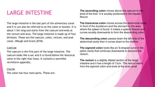 LARGE INTESTINE
The large intestine is the last part of the alimentary canal
and it is can also be referred to as the colon or bowels. It is
about 1.5m long and starts from the caecum and ends at
the rectum and anus. The large intestine is made up of four
divisions. These are the caecum, colon, rectum, and anal
canal. (Waugh and Grant,2018).
CAECUM
The caecum is the first part of the large intestine. The
caecum looks like a sac and it is found below the ileocecal
valve in the right iliac fossa. It contains a wormlike
vermiform appendix,
COLON
The colon has four main parts. These are:
The ascending colon moves above the caecum to the
level of the liver. It is acutely positioned to the hepatic
flexure
The transverse colon moves across the abdominal cavity
in front of the duodenum and the stomach to the area
where the spleen is found. it makes a splenic flexure and
curves acutely downwards to form the descending colon.
The descending colon passes down the left side of the
abdominal cavity then it curves down to the midline.
The sigmoid colon looks like an S-shaped curve in the
pelvic cavity that continues downwards to become the
rectum,
The rectum is a slightly dilated section of the large
intestine and it has a length of 13cm. The rectum starts
from the sigmoid colon and ends at the anal canal
 