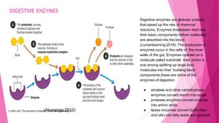 DIGESTIVE ENZYMES
Digestive enzymes are globular proteins
that speed up the rate of chemical
reactions. Enzymes breakdown food into
their basic components before molecules
are absorbed into the blood.
(Lumenlearning,2018). The production of
enzymes occur in the cells of the inner
walls of the gut. Enzymes operate on a
molecule called substrate their action is
one among splitting up large food
molecules into their ‘building block’
components.these are some of the
enzymes of digestion.
● amylase and other carbohydrase
enzymes convert starch into sugar
● protease enzymes convert proteins
into amino acids
● lipase enzymes convert lipids (fats
and oils) into fatty acids and glycerol
(Akoranga,2012)
 