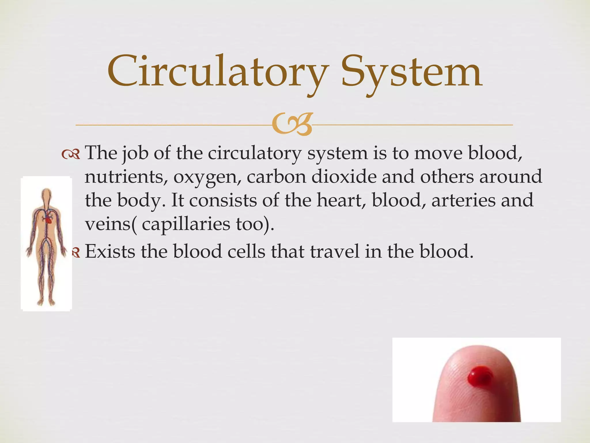
 The job of the circulatory system is to move blood,
nutrients, oxygen, carbon dioxide and others around
the body. It consists of the heart, blood, arteries and
veins( capillaries too).
 Exists the blood cells that travel in the blood.
Circulatory System
 