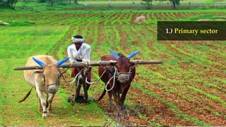 {
1.) Primary sector
 