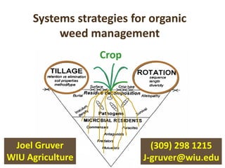 Systems strategies for organic
          weed management
                  Crop




 Joel Gruver                (309) 298 1215
WIU Agriculture           J-gruver@wiu.edu
 