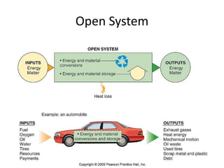 Systems Theory Explained | PPTX
