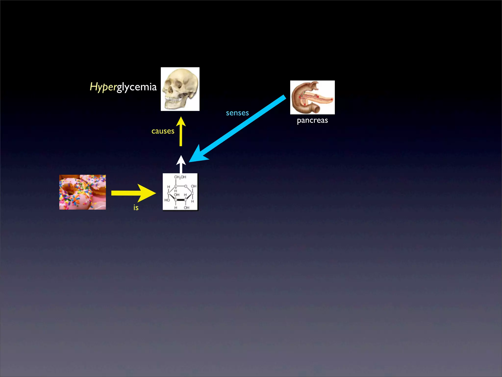 Hyperglycemia
senses
causes

is

Sunday, 2 March 14

pancreas

 