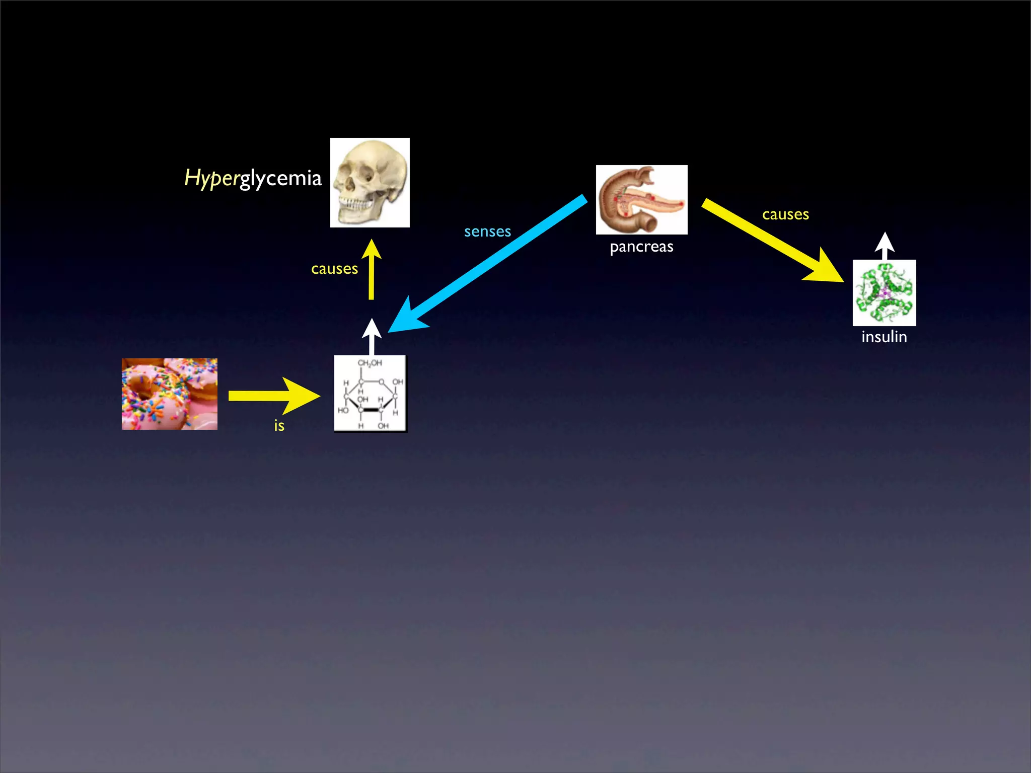 Hyperglycemia
senses

causes
pancreas

causes

insulin

is

Sunday, 2 March 14

 