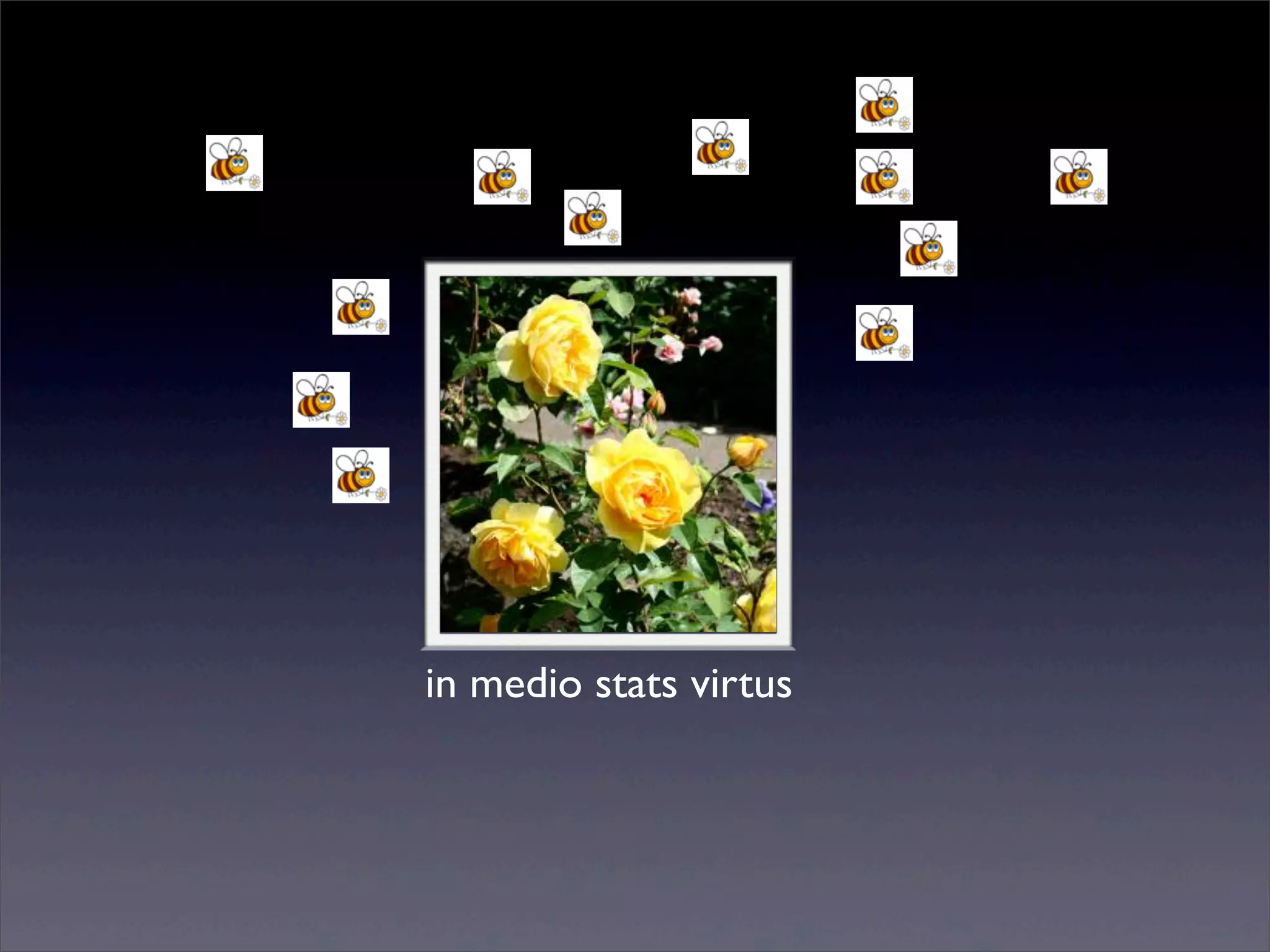 in medio stats virtus

Sunday, 2 March 14

 