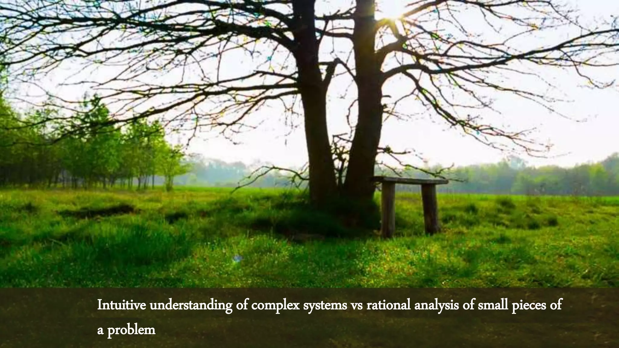Intuitive understanding of complex systems vs rational analysis of small pieces of
a problem
 