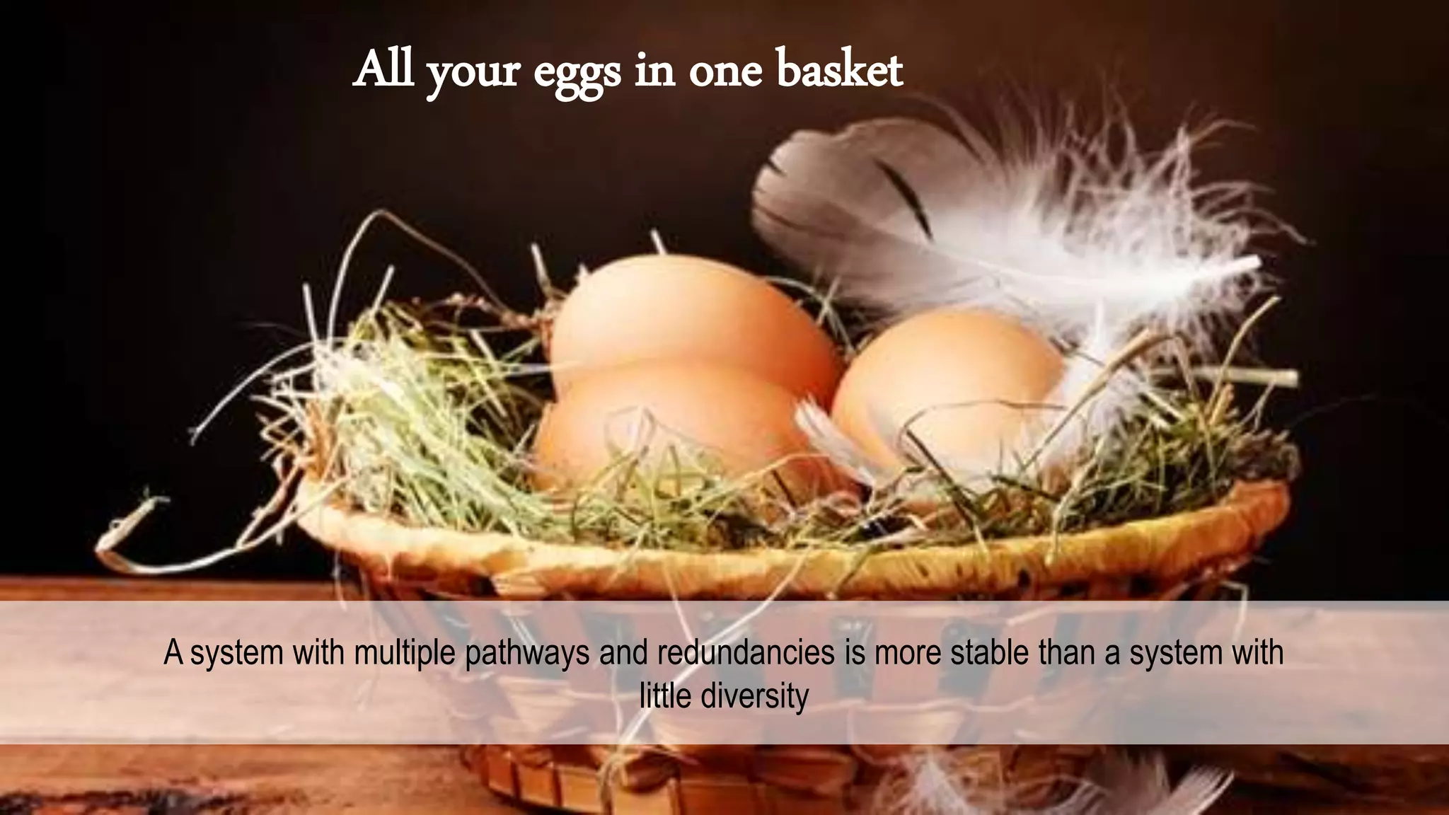 All your eggs in one basket
A system with multiple pathways and redundancies is more stable than a system with
little diversity
 