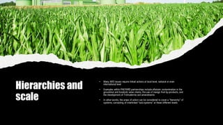 Hierarchies and
scale
• Many ARD issues require linked actions at local level, national or even
international level
• Examples within PAEPARD partnerships include aflatoxin contamination in the
groundnut and livestock value chains, the use of mango fruit by-products, and
the development of Trichoderma soil amendments
• In other words, the areas of action can be considered to cover a “hierarchy” of
systems, consisting of interlinked “sub-systems” at these different levels
 