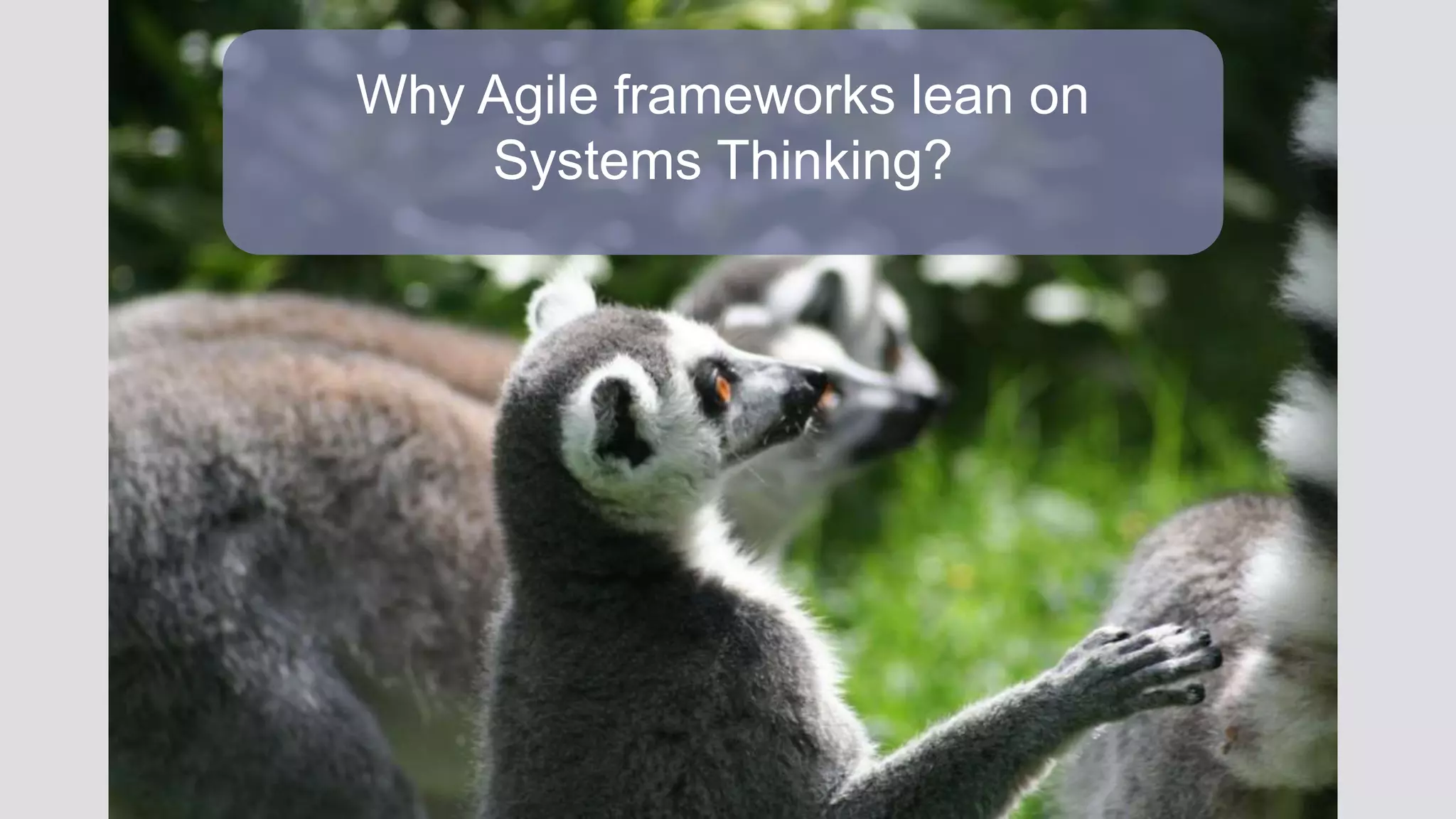 @JuhanaOne
Why Agile frameworks lean on
Systems Thinking?
 