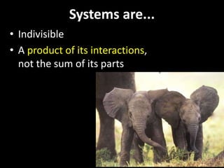 Systems are...
• Indivisible
• A product of its interactions,
not the sum of its parts
 