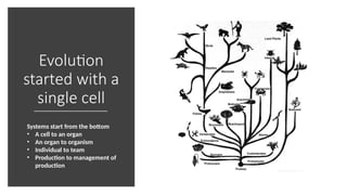 Evolution
started with a
single cell
Systems start from the bottom
• A cell to an organ
• An organ to organism
• Individual to team
• Production to management of
production
 