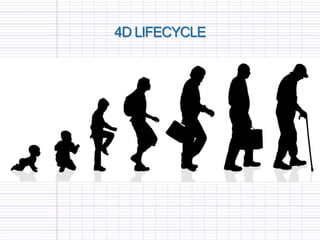4D LIFECYCLE
 