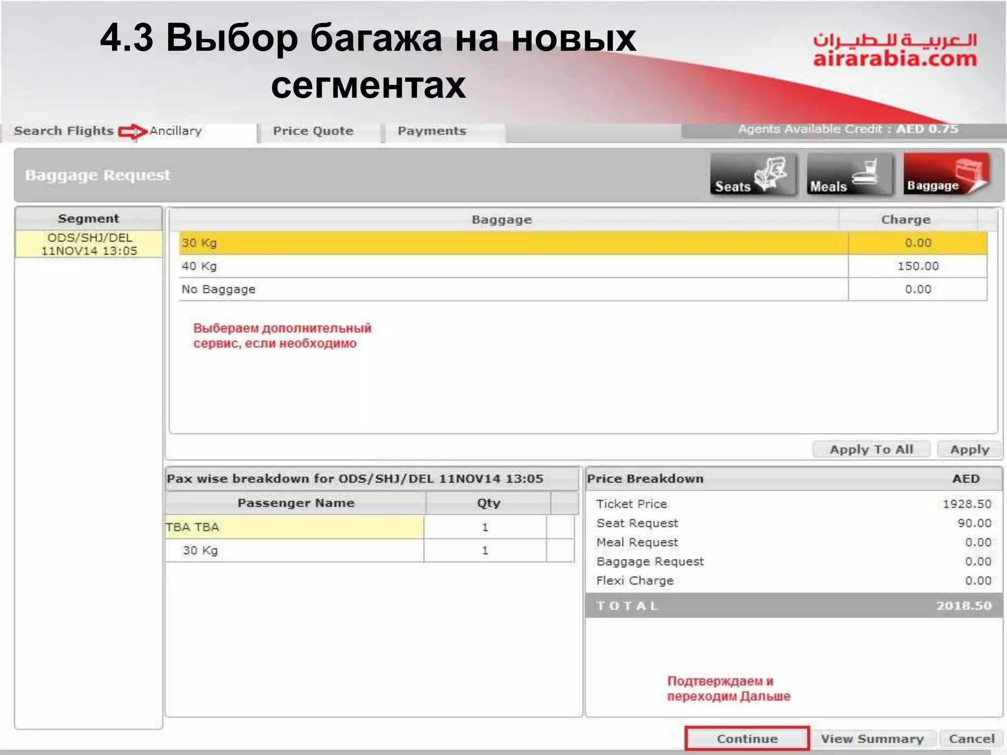 4.3 Выбор багажа на новых
сегментах
 