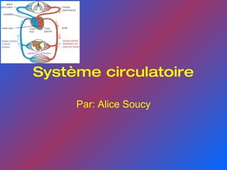 Système circulatoire Par: Alice Soucy 