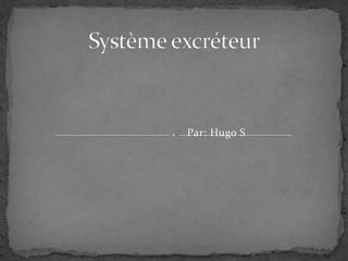 Système excréteur Par: Hugo S 