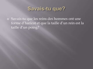 Savais-tu que?Savais-tu que les reins des hommes ont une forme d’haricot et que la taille d’un rein est la taille d’un poing?