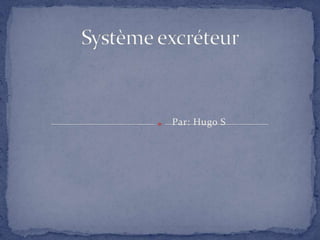Système excréteur Par: Hugo S 