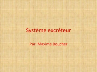 Système excréteur Par: Maxime Boucher 