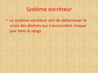 Système excréteur Le système excréteur sert de débarrasser le corps des déchets qui s’accumulent chaque jour dans le sangs.  
