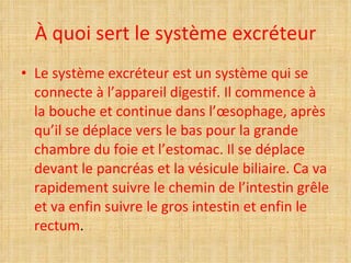 À quoi sert le système excréteur Le système excréteur est un système qui se connecte à l’appareil digestif. Il commence à la bouche et continue dans l’œsophage, après qu’il se déplace vers le bas pour la grande chambre du foie et l’estomac. Il se déplace devant le pancréas et la vésicule biliaire. Ca va rapidement suivre le chemin de l’intestin grêle et va enfin suivre le gros intestin et enfin le rectum . 