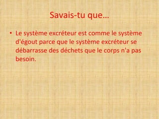 Savais-tu que… Le système excréteur est comme le système d'égout parce que le système excréteur se débarrasse des déchets que le corps n'a pas besoin.  