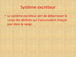 Système excréteur ,[object Object]