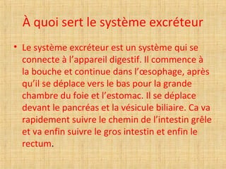 À quoi sert le système excréteur
• Le système excréteur est un système qui se
connecte à l’appareil digestif. Il commence à
la bouche et continue dans l’œsophage, après
qu’il se déplace vers le bas pour la grande
chambre du foie et l’estomac. Il se déplace
devant le pancréas et la vésicule biliaire. Ca va
rapidement suivre le chemin de l’intestin grêle
et va enfin suivre le gros intestin et enfin le
rectum.
 