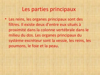 Les parties principaux
• Les reins, les organes principaux sont des
filtres. Il existe deux d’entre eux situés à
proximité dans la colonne vertébrale dans le
milieu du dos. Les organes principaux du
système excréteur sont la vessie, les reins, les
poumons, le foie et la peau.
 
