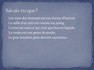 Les reins des hommes est une forme d’haricot.
 La taille d’un rein est comme un poing.
 L’urine est tous ce qui n’est pas bon en liquide.
 La vessie est une genre de poche.
 Le gros intestins peut devenir cancéreux.
 