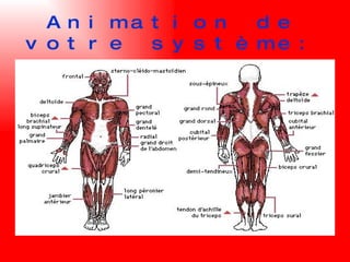 Animation de votre système: 