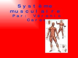 Système musculaire Par: Véronic Caron 