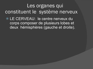 Les organes qui constituent le  système nerveux LE CERVEAU:  le centre nerveux du corps composer de plusieurs lobes et deux  hémisphères (gauche et droite). 