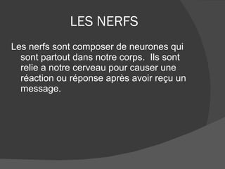 LES NERFS  Les nerfs sont composer de neurones qui sont partout dans notre corps.  Ils sont relie a notre cerveau pour causer une réaction ou réponse après avoir reçu un message.  
