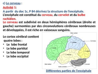 système nerveux ppt 2020 les fonctions de communication .pptx