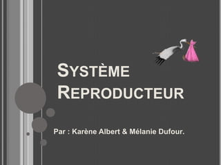 Système Reproducteur  Par : Karène Albert & Mélanie Dufour.  