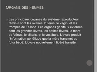 Organe des FemmesLes principaux organes du système reproducteur féminin sont les ovaires, l'utérus, le vagin, et les trompes de Fallope. Les organes génitaux externes sont les grandes lèvres, les petites lèvres, le mont de Vénus, le clitoris, et le vestibule. L'ovule produit l’information génétique que la mère transmet au futur bébé. L'ovule nouvellement libéré transite 