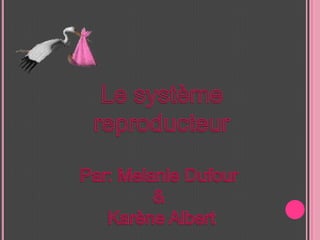 Le système  reproducteur Par: Melanie Dufour  &  Karène Albert 