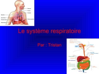 Le système respiratoire Par : Tristan 