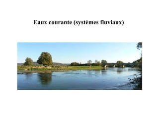 Eaux courante (systèmes fluviaux) 