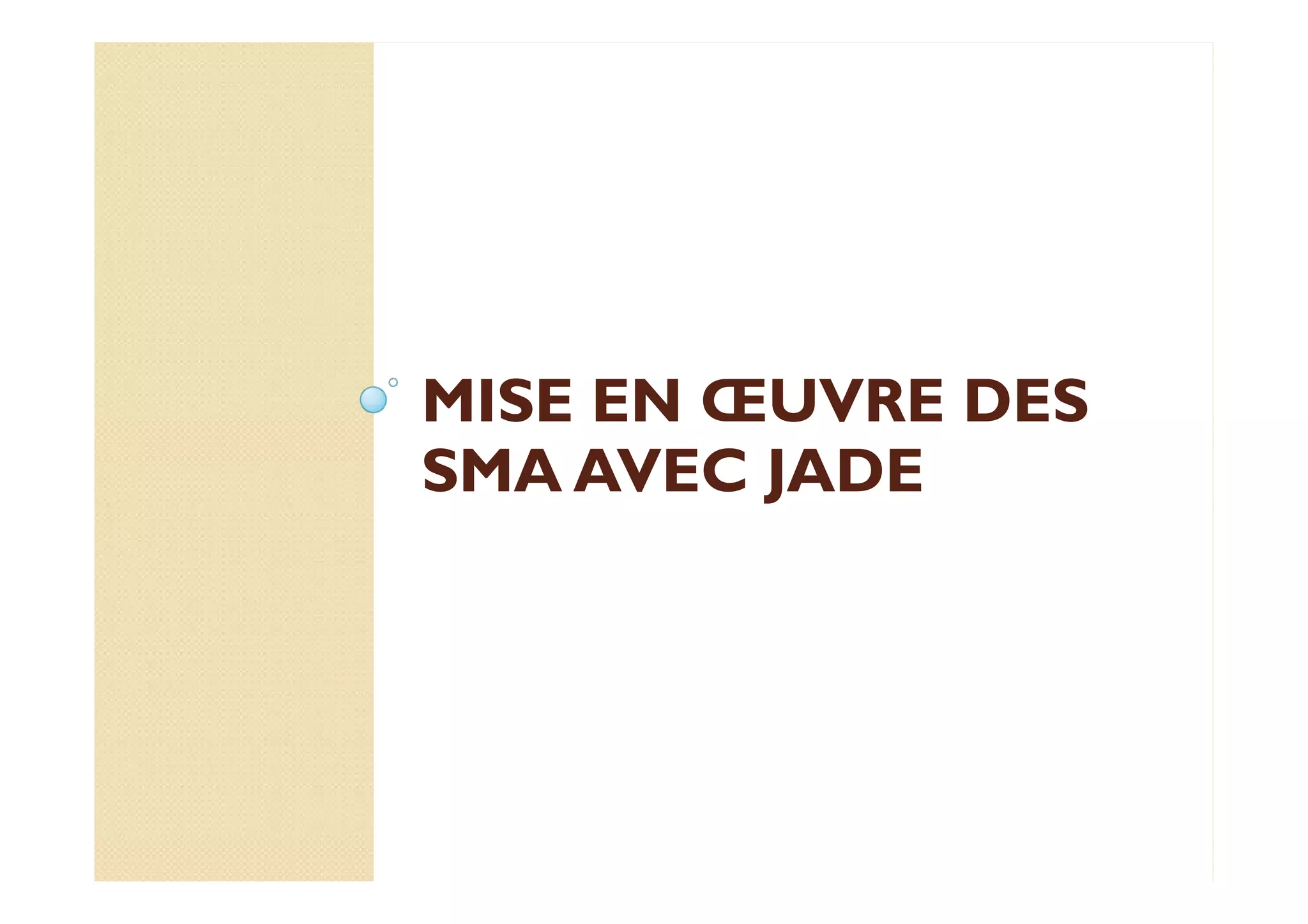 MMIISSEE EENN OEOEUUVVRREE DDEESS 
SSSSMMMMAAAA AAAAVVVVEEEECCCC JJJJAAAADDDDEEEE 
 