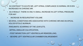 • IN CONTRAST TO ACUTE MR, LEFT ATRIAL COMPLIANCE IS NORMAL OR EVEN
INCREASED IN CHRONIC MR.
• AS A RESULT, THERE IS ONLY A SMALL INCREASE IN LEFT ATRIAL PRESSURE
FOR ANY
• INCREASE IN REGURGITANT VOLUME
• SEVERAL CONDITIONS ARE ASSOCIATED WITH CHRONIC MR AND AN APICAL
HOLOSYSTOLIC MURMUR,
-RHEUMATIC SCARRING OF THE LEAFLETS,
-MITRAL ANNULAR CALCIFICATION,
- POST INFARCTION LEFT VENTRICULAR REMODELLING,
• -SEVERE LEFT VENTRICULAR CHAMBER ENLARGEMENT.
 
