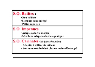 S.O. Carinates (les plus répondus)
• Adaptés à différents milieux
• Sternum avec bréchet plus ou moins développé
S.O. Impennes
•Adaptés à la vie marine
•Membres adaptés à la vie aquatique
S.O. Ratites :
•Non voiliers
•Sternum sans bréchet
•Pattes robustes
 