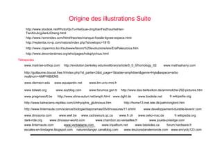 www.tolweb.org www.sozblog.com www.forumca.gen.tr http://www.das-tierlexikon.de/armmolche-292-pictures.htm
www.pragmasoft.be http://www.shna-autun.net/amph.html www.dght.de
http://www.batraciens-reptiles.com/ichthyophis_glutinosus.htm
www.boolsite.net
www.fr.chwww.dinosoria.com www.wwf.be
www.developpement-durable-lavenir.com
www.csdraveurs.qc.ca www.oeko-msc.de
http://home13.inet.tele.dk/palm/origbird.htm
http://www.linternaute.com/science/biologie/diaporamas/05/dinosaures/11.shtml
fr.wikipedia.org
fr.wikipedia.org
dark-ride.org www.dinosaur-world.com www.jouets-prestige.comwww.chambon.ac-versailles.fr
www.tripalbum.netwww.linternaute.com www.vertdeterre.comwww.vertdeterre.com www.bestioles.ca
escales-en-bretagne.blogspot.com naturendanger.canalblog.com
forum.hardware.fr
www.leszoosdanslemonde.com www.encyclo123.com
Tétrapodes
www.maitrise-orthop.com http://evolution.berkeley.edu/evolibrary/article/0_0_0/homology_02
http://guillaume.doucet.free.fr/index.php?id_partie=2&id_page=1&table=amphibien&genre=Hyla&espece=arbo
rea&nom=AMPHIBIENS
www.mathsaharry.com
www.clemson.edu www.aquajardin.net www.lim.univ-mrs.fr
http://www.stockok.net/Photo/QuTu-HaiGuai-JingXianFeiZhouHaiHan-
TanXinJingJianLiCheng.html
http://www.hominides.com/html/theories/manque-fossile-lignee-espece.html
http://reptentia.no-ip.com/natura/index.php?showtopic=1815
http://www.copernico.bo.it/subwww/lavoro%20evoluzione/ere/EraPaleozoica.htm
http://www.devoniantimes.org/who/pages/holoptychius.html
Origine des illustrations Suite
 