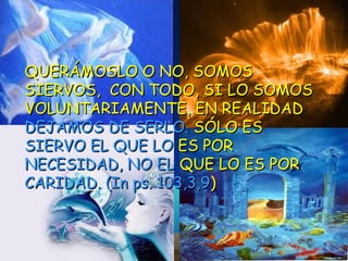 QUERÁMOSLO O NO, SOMOSQUERÁMOSLO O NO, SOMOS
SIERVOS, CON TODO, SI LO SOMOSSIERVOS, CON TODO, SI LO SOMOS
VOLUNTARIAMENTE, EN REALIDADVOLUNTARIAMENTE, EN REALIDAD
DEJAMOS DE SERLO.DEJAMOS DE SERLO. SÓLO ESSÓLO ES
SIERVO EL QUE LOSIERVO EL QUE LO ES PORES POR
NECESIDAD, NO ELNECESIDAD, NO EL QUE LO ES PORQUE LO ES POR
CARIDAD. (In ps. 103,3,9CARIDAD. (In ps. 103,3,9))
 