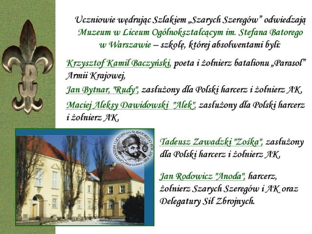 Patron Zespołu Szkół Integracyjnych Nr 1 we Włocławku - Szare Szeregi | PPT