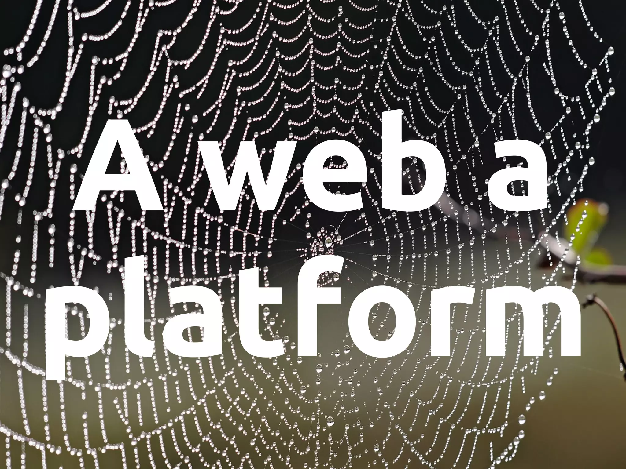 A web a 
platform 
 